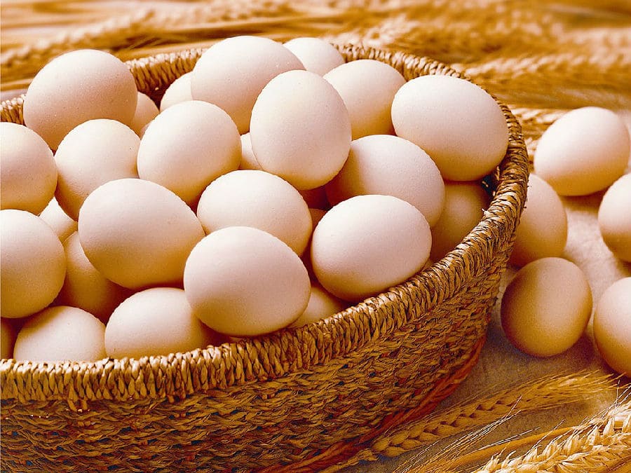 فوائد اكل بيضة كل يوم - Fraied